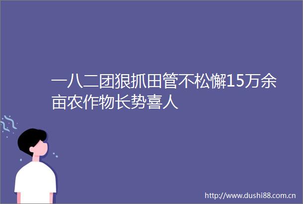 一八二团狠抓田管不松懈15万余亩农作物长势喜人