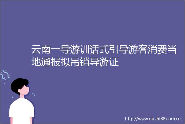 云南一导游训话式引导游客消费当地通报拟吊销导游证