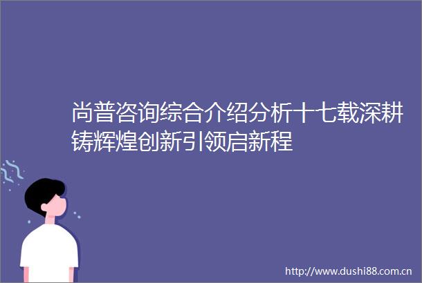 尚普咨询综合介绍分析十七载深耕铸辉煌创新引领启新程