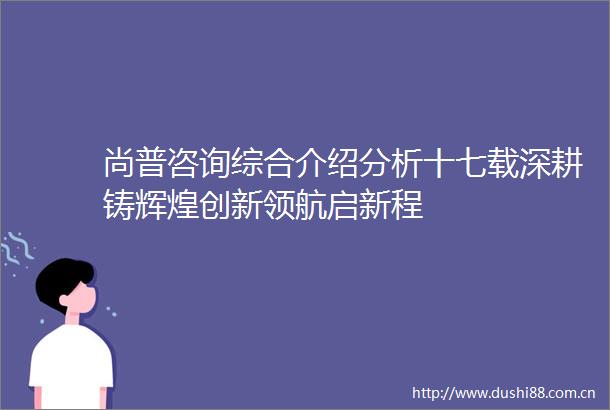 尚普咨询综合介绍分析十七载深耕铸辉煌创新领航启新程
