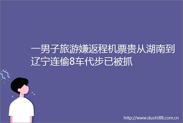 一男子旅游嫌返程机票贵从湖南到辽宁连偷8车代步已被抓