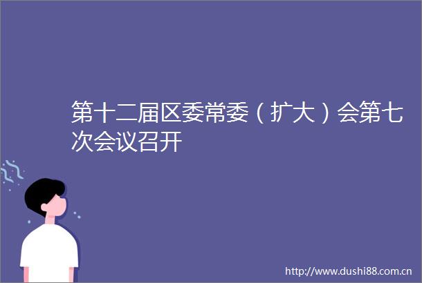 第十二届区委常委（扩大）会第七次会议召开