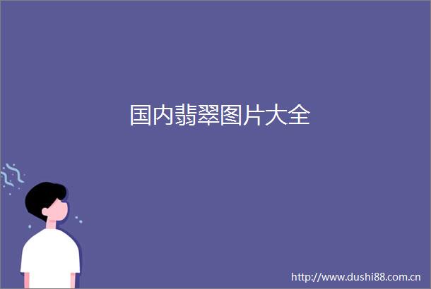 国内翡翠图片大全