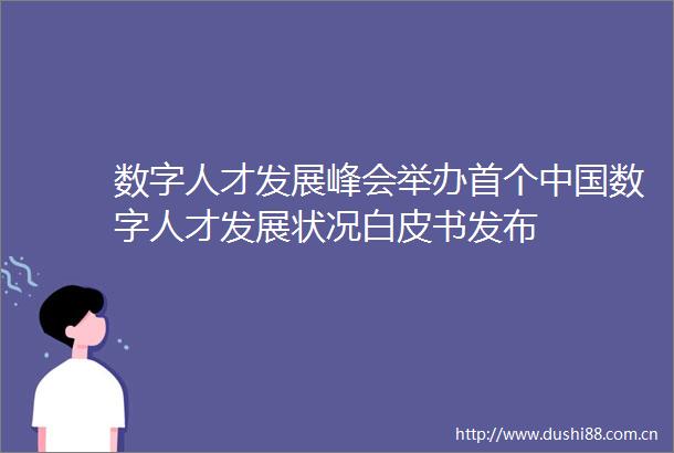 数字人才发展峰会举办首个数字人才发展状况白皮书发布