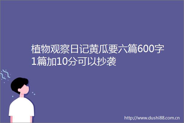 植物观察日记黄瓜要六篇600字1篇加10分可以抄袭