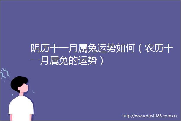 阴历十一月属兔运势如何（农历十一月属兔的运势）