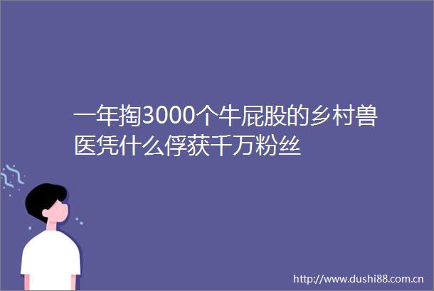 一年掏3000个牛屁股的乡村兽医凭什么俘获千万粉丝