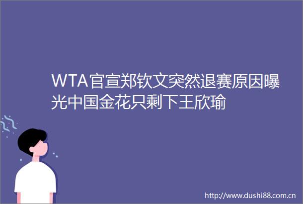 WTA官宣郑钦文突然退赛原因金花只剩下王欣瑜