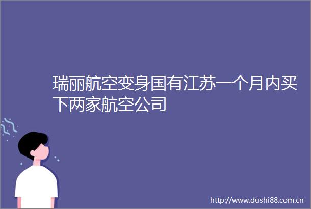 瑞丽航空变身国有江苏一个月内买下两家航空公司