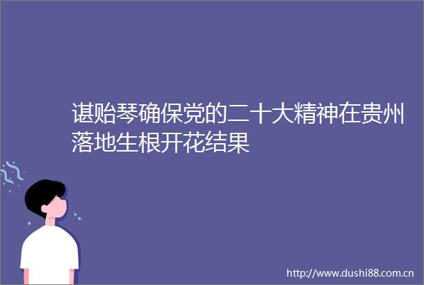 谌贻琴确保党的二十大精神在贵州落地生根开花结果