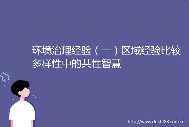 环境治理经验（一）区域经验比较多样性中的共性智慧