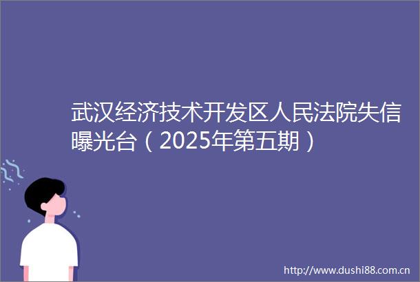 武汉经济技术开发区失信台（2025年第五期）