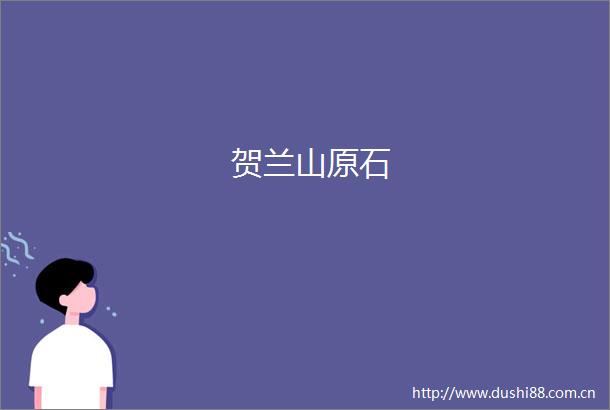 贺兰山原石