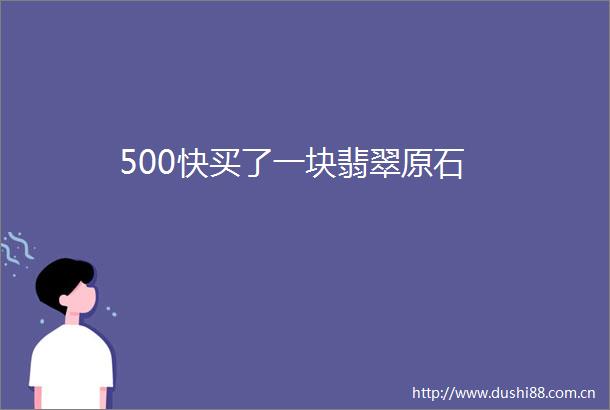 500快买了一块翡翠原石