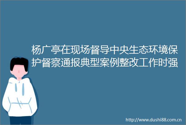 杨广亭在现场督导中央生态环境保护督察通报典型案例整改工作时强调以坚决态度和有力举措抓好问题整改