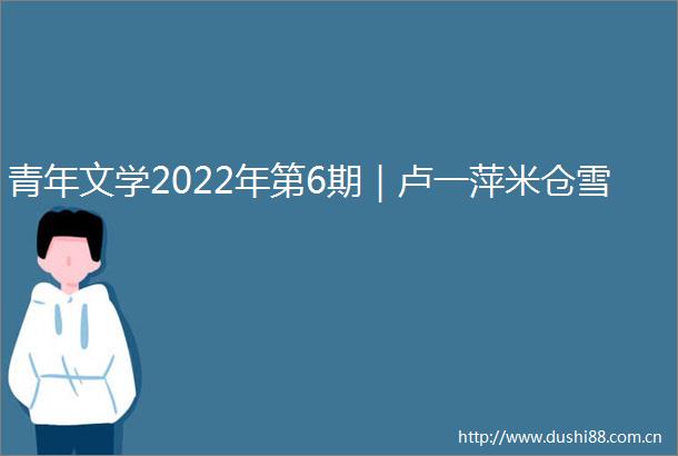 青年文学2022年第6期｜卢一萍米仓雪