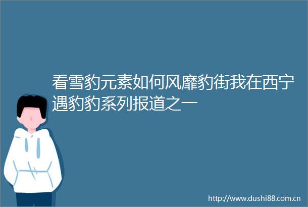 看雪豹元素如何风靡豹街我在西宁遇豹豹系列报道之一