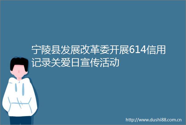 宁陵县发展改革委开展614信用记录关爱日宣传活动