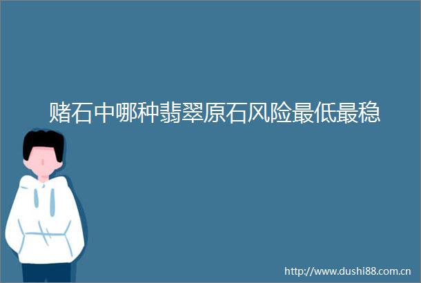 赌石中哪种翡翠原石风险最低最稳