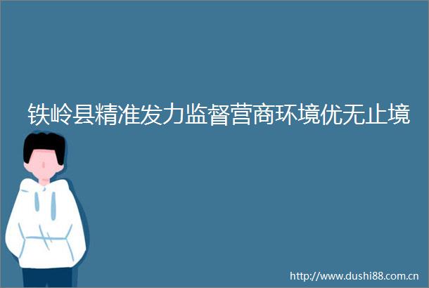 铁岭县精准发力监督营商环境优无止境