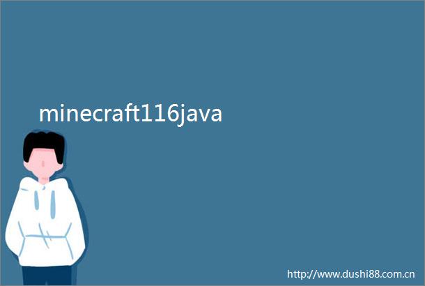 minecraft116java
