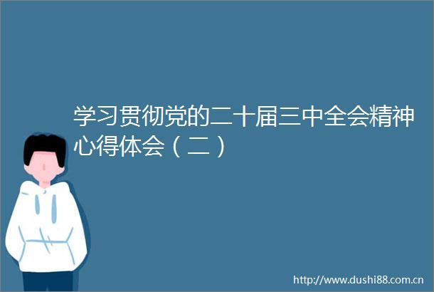 学习贯彻党的二十届三中全会精神心得体会（二）