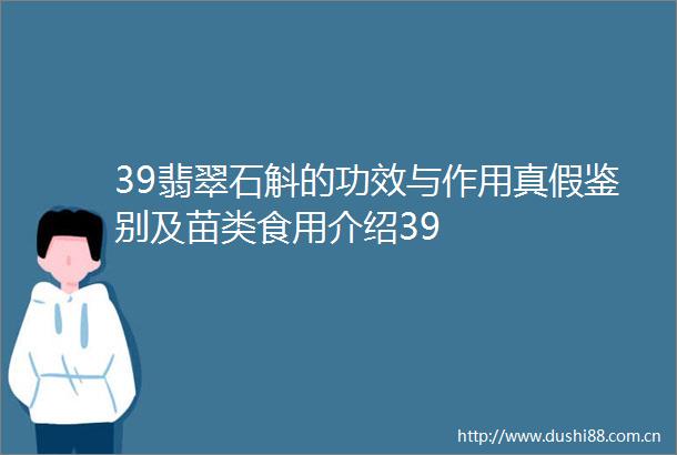 39翡翠石斛的功效与作用真假鉴别及苗类食用介绍39