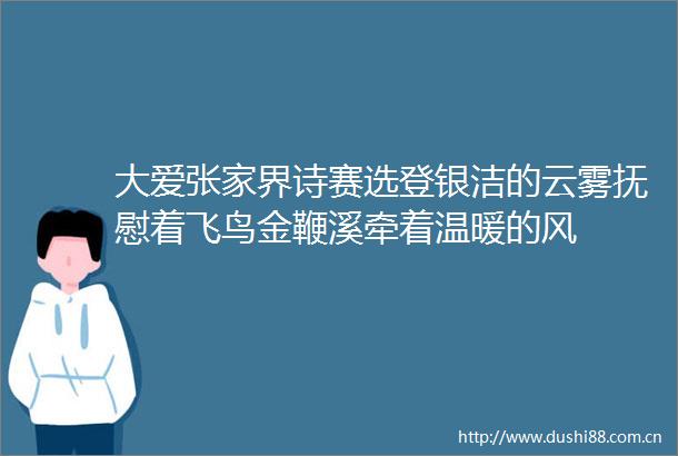 大爱张家界诗赛选登银洁的云雾抚慰着飞鸟金鞭溪牵着温暖的风