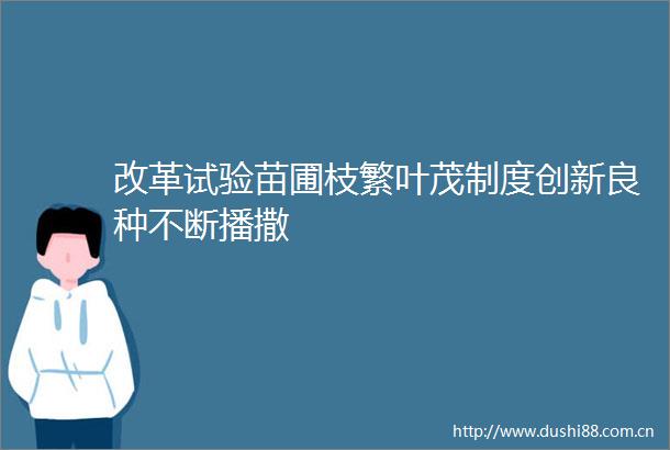 改革试验苗圃枝繁叶茂制度创新良种不断播撒