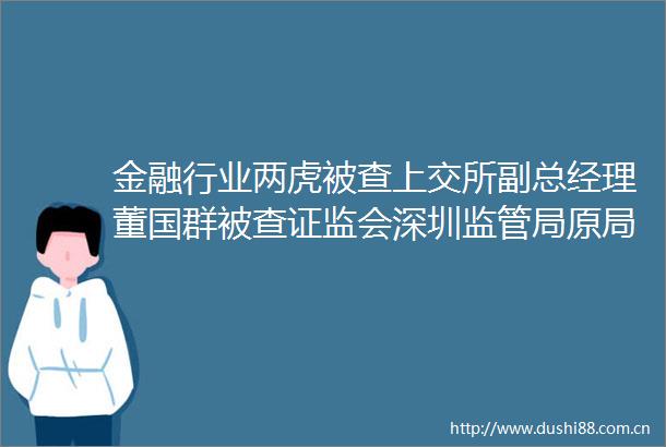 金融行业两虎被查上交所副总经理董国群被查证监会深圳监管局原局长陈小澎被查
