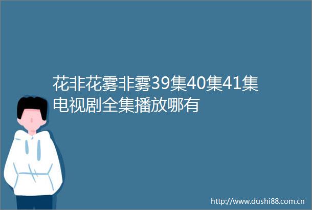 花非花雾非雾39集40集41集电视剧全集播放哪有