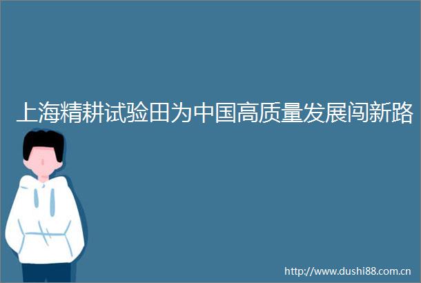上海精耕试验田为高质量发展闯新路