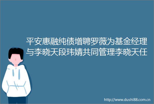 平安惠融纯债增聘罗薇为基金经理与李晓天段玮婧共同管理李晓天任期回报089
