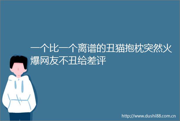 一个比一个离谱的丑猫抱枕突然火爆网友不丑给差评