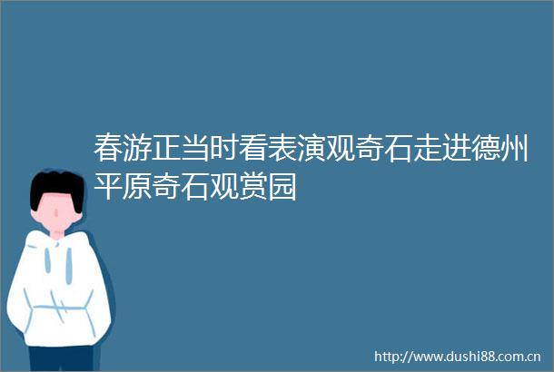 春游正当时看表演观奇石走进德州平原奇石观赏园