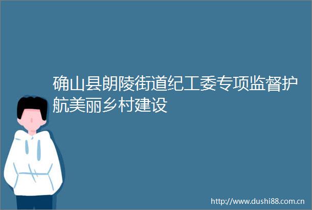 确山县朗陵街道纪工委专项监督护航美丽乡村建设