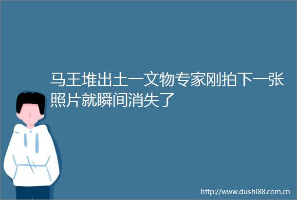 马王堆出土一文物专家刚拍下一张照片就瞬间消失了