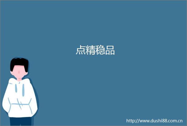 点精稳品