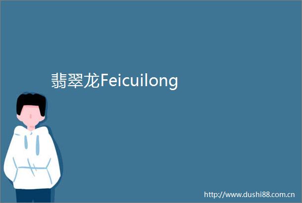 翡翠龙Feicuilong