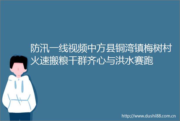 防汛一线视频中方县铜湾镇梅树村火速搬粮干群齐心与洪水赛跑