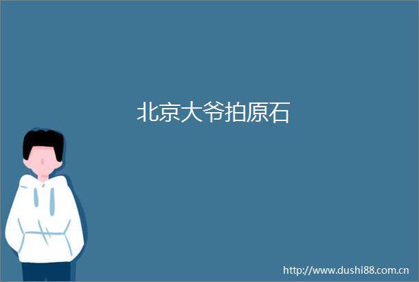 北京大爷拍原石