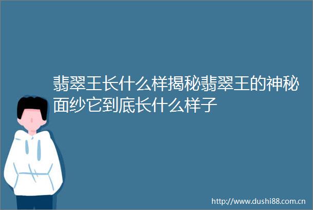 翡翠王长什么样揭秘翡翠王的神秘面纱它到底长什么样子