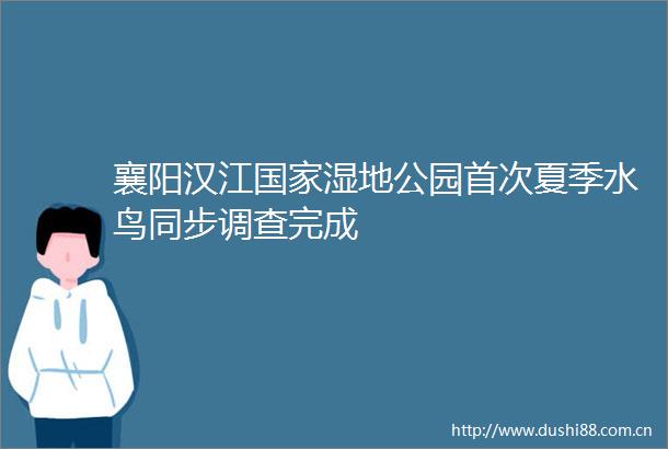襄阳汉江湿地公园首次夏季水鸟同步调查完成