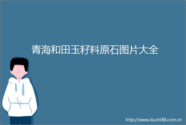 青海和田玉籽料原石图片大全