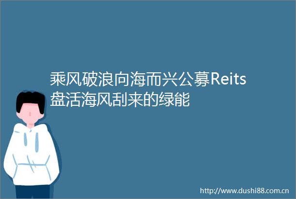 乘风破浪向海而兴公募Reits盘活海风刮来的绿能
