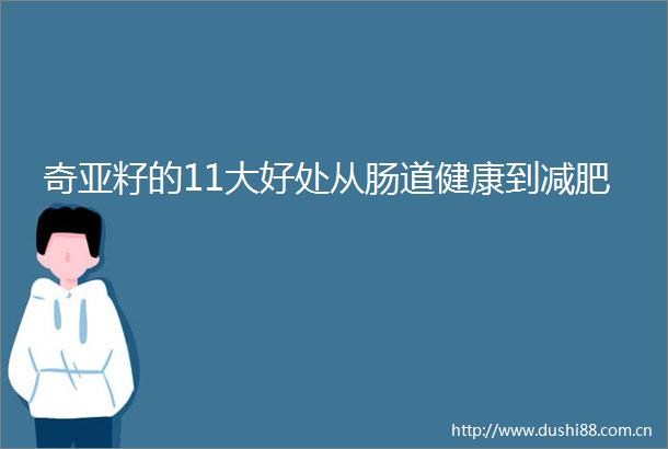 奇亚籽的11大好处从肠道健康到减肥