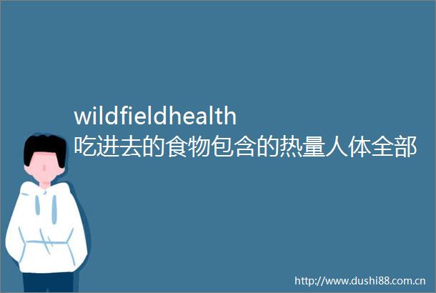 wildfieldhealth吃进去的食物包含的热量人体全部都吸收了吗