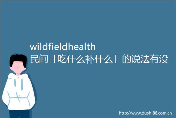 wildfieldhealth民间「吃什么补什么」的说法有没有科学依据
