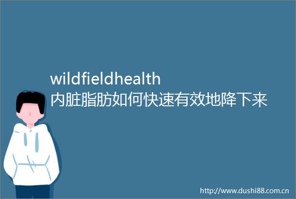 wildfieldhealth内脏脂肪如何快速有效地降下来