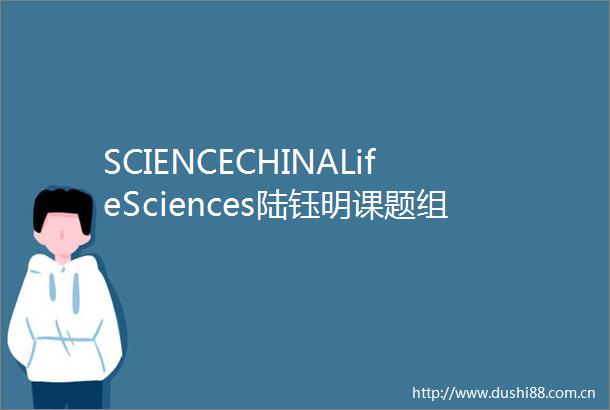 SCIENCECHINALifeSciences陆钰明课题组发表人工智能与蛋白设计综述文章